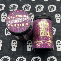 Elephants Growth - Cryowolf (Zuyaqui x Cold Snap) - text for pricing